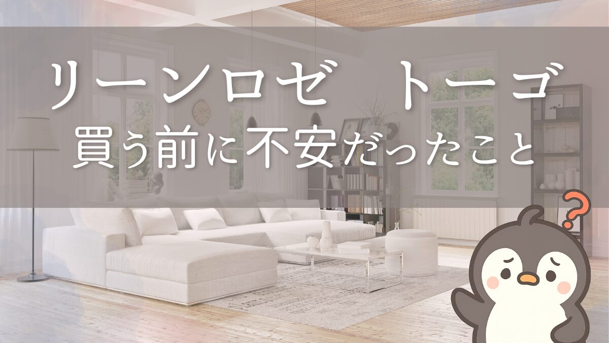 トーゴを買う前に不安だったこと